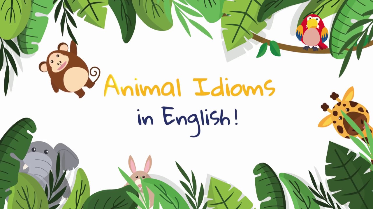 ENGLISH IDIOMS - ANIMALS